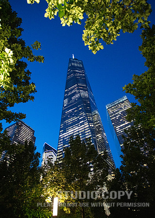 CDR_06042019_0389_NYC
