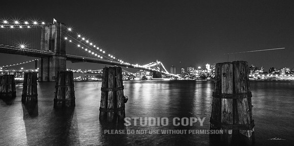 CDR_06032019_0096 brooklyn bridge