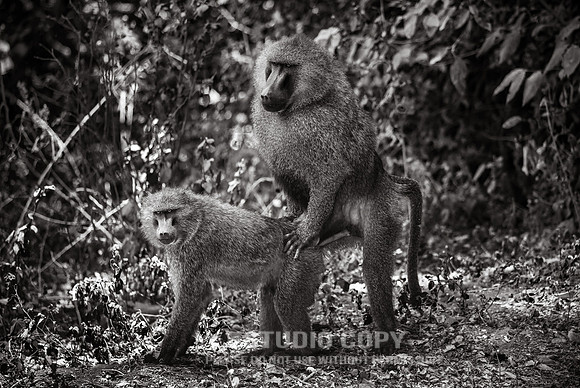 CDR_09232019_Tanzania_0130