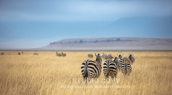 CDR_09242019_Tanzania_0248_tanzania_