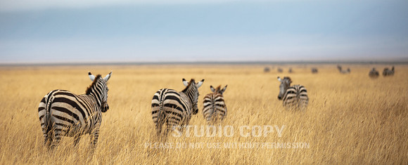 CDR_09242019_Tanzania_0252_tanzania_