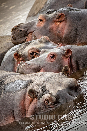 CDR_09242019_Tanzania_0384_tanzania_
