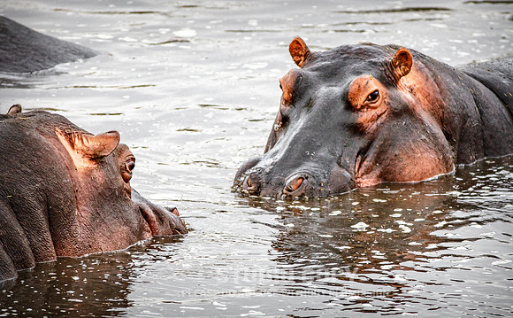 CDR_09242019_Tanzania_0392
