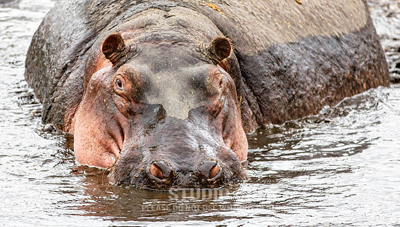 CDR_09242019_Tanzania_0400