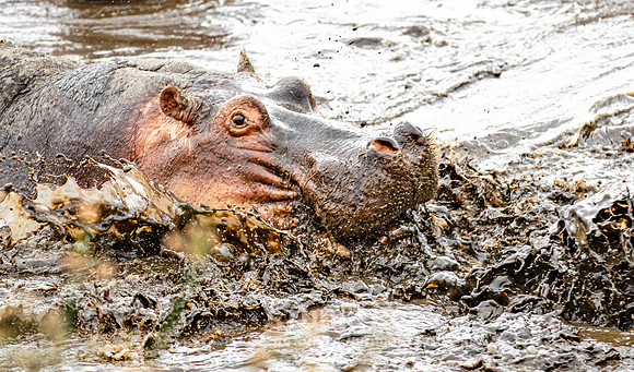 CDR_09242019_Tanzania_0409