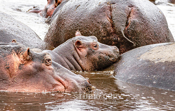 CDR_09242019_Tanzania_0440