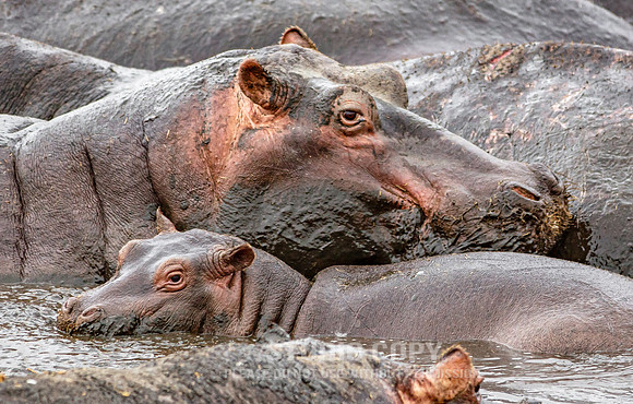 CDR_09242019_Tanzania_0455