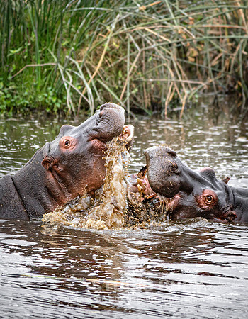 CDR_09242019_Tanzania_0474