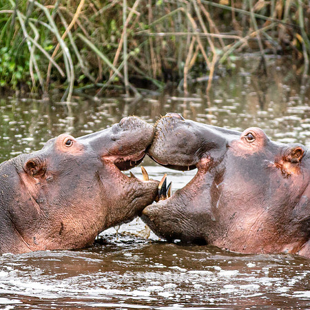 CDR_09242019_Tanzania_0479
