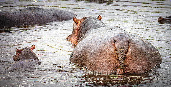 CDR_09242019_Tanzania_0507