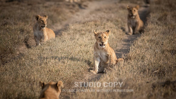 CDR_09242019_Tanzania_2139_tanzania_