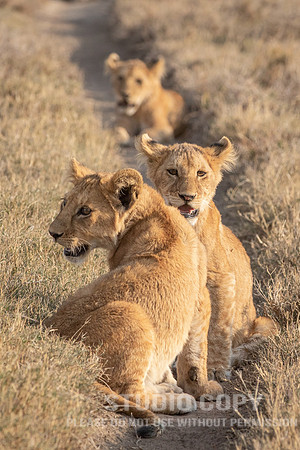 CDR_09242019_Tanzania_2172