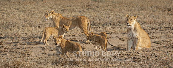 CDR_09242019_Tanzania_2189