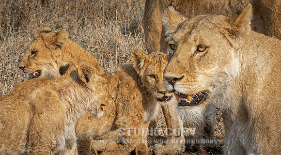 CDR_09242019_Tanzania_2210