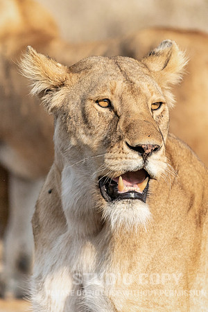 CDR_09242019_Tanzania_2229_tanzania_