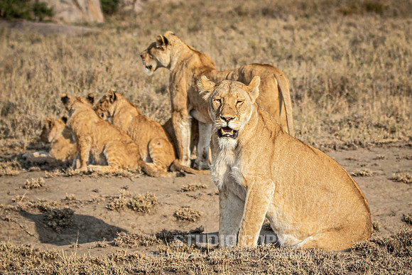 CDR_09242019_Tanzania_2230