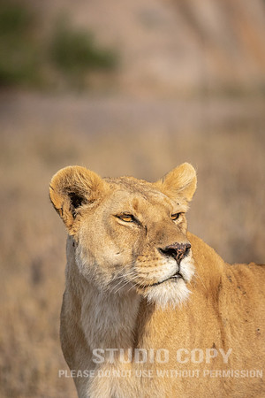 CDR_09242019_Tanzania_2242_tanzania_