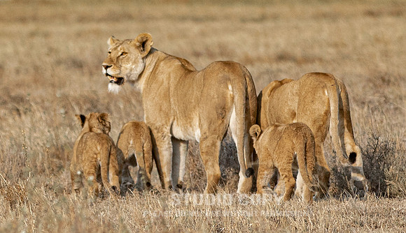 CDR_09242019_Tanzania_2284