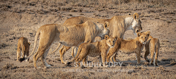 CDR_09242019_Tanzania_2304