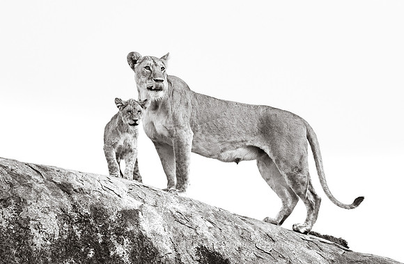 CDR_09242019_Tanzania_2524_tanzania_