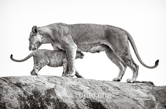 CDR_09242019_Tanzania_2532_tanzania_