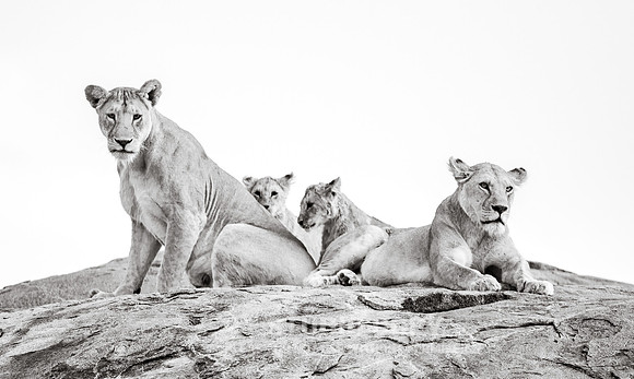 CDR_09242019_Tanzania_2597_tanzania_