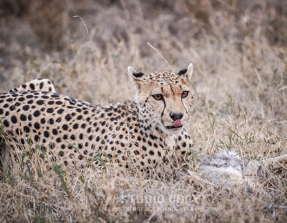 CDR_09242019_Tanzania_2783_tanzania_