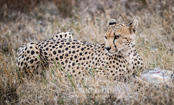 CDR_09242019_Tanzania_2804_tanzania_