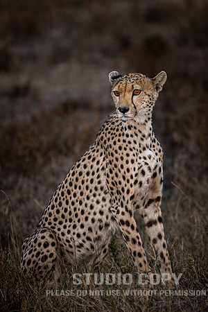 CDR_09242019_Tanzania_2851_tanzania_