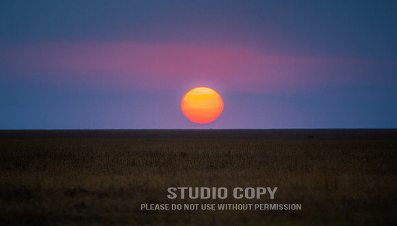 CDR_09252019_Tanzania_0037 serengeti sunrise
