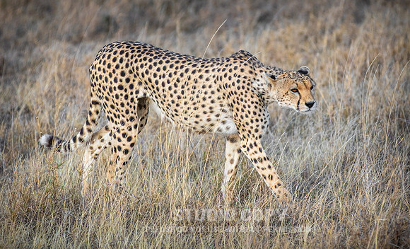 CDR_09252019_Tanzania_0069