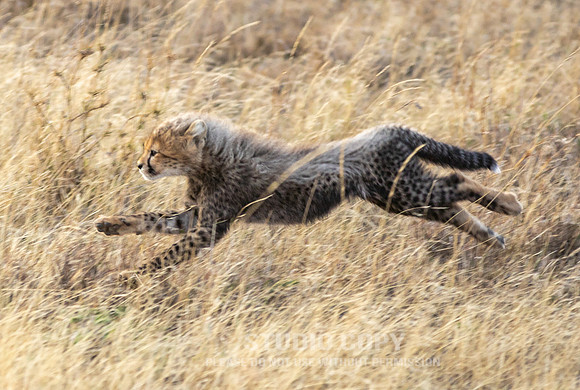 CDR_09252019_Tanzania_0106_tanzania_
