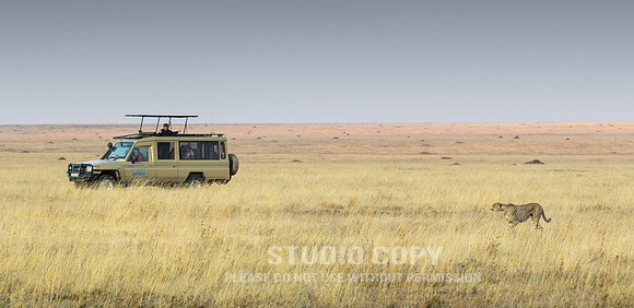 CDR_09252019_Tanzania_0151_tanzania_