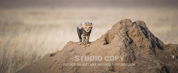 CDR_09252019_Tanzania_0302