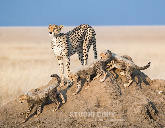 CDR_09252019_Tanzania_0322_tanzania_
