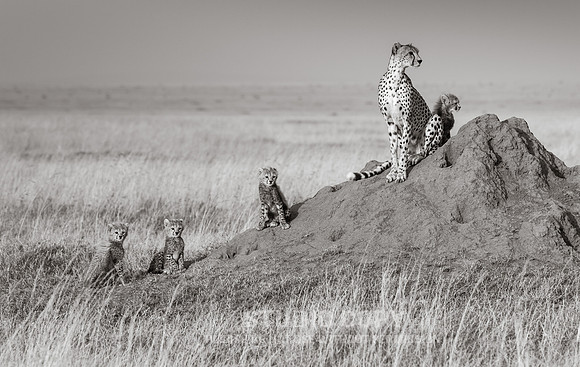 CDR_09252019_Tanzania_0362_tanzania_
