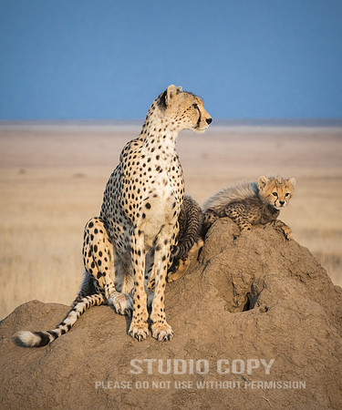 CDR_09252019_Tanzania_0427