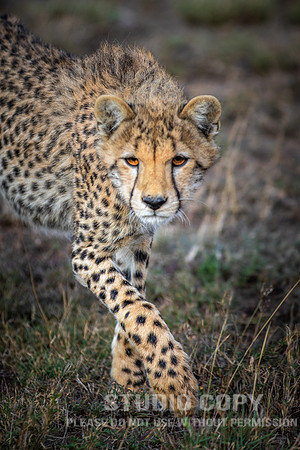 CDR_09252019_Tanzania_0625