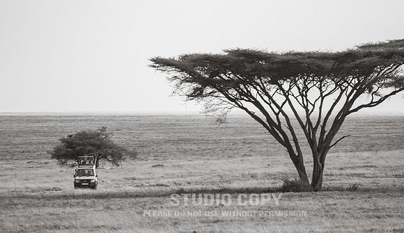 CDR_09252019_Tanzania_0686_tanzania_