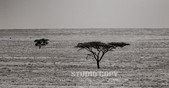 CDR_09252019_Tanzania_0787_tanzania_