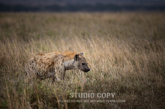 CDR_09252019_Tanzania_1058_tanzania_