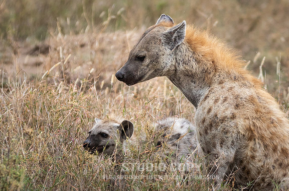 CDR_09252019_Tanzania_1083_tanzania_