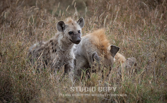 CDR_09252019_Tanzania_1090_tanzania_