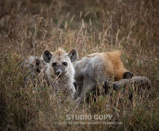 CDR_09252019_Tanzania_1094_tanzania_