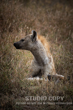 CDR_09252019_Tanzania_1104_tanzania_