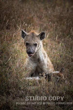CDR_09252019_Tanzania_1105_tanzania_