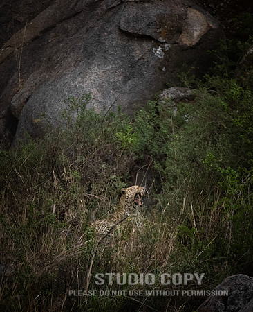 CDR_09252019_Tanzania_1231_tanzania_