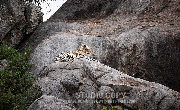 CDR_09252019_Tanzania_1280_tanzania_