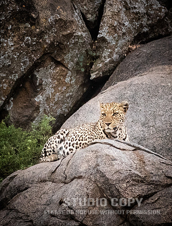 CDR_09252019_Tanzania_1297_tanzania_