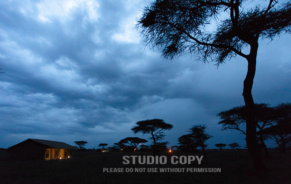 CDR_09252019_Tanzania_1406_tanzania_